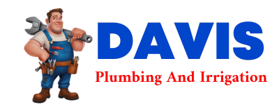 Trusted plumber in PLACEDO